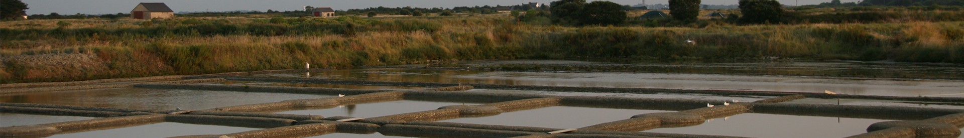 banniere-marais-salants-168