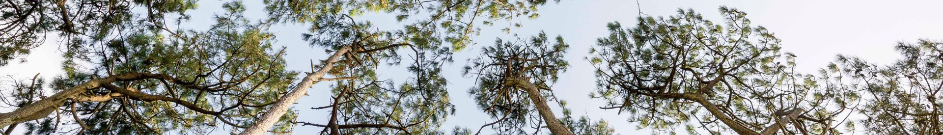 design-sans-titre-2-1915