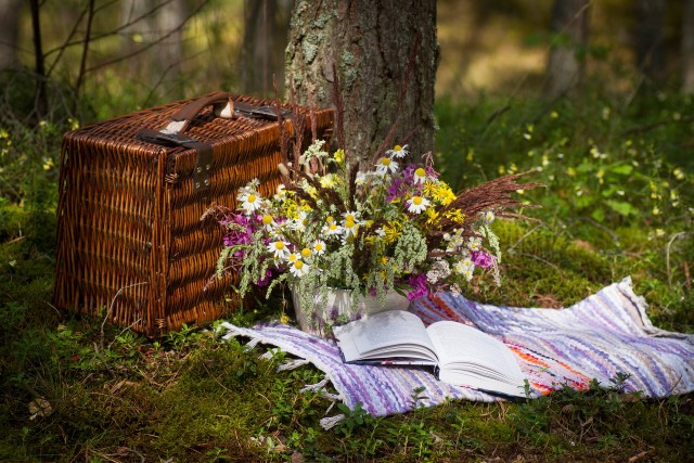 Picknickplätze