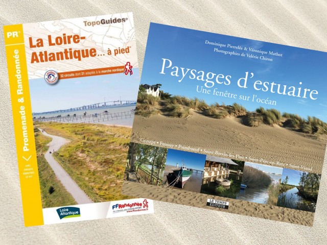 Librairie, cartes, guides