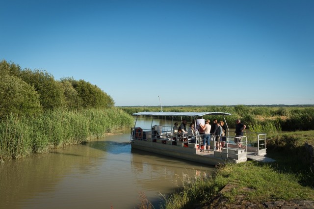 Croisières, promenades en mer