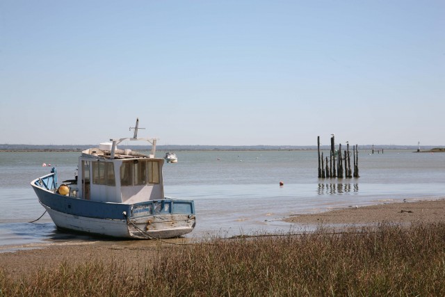 The Loire Estuary