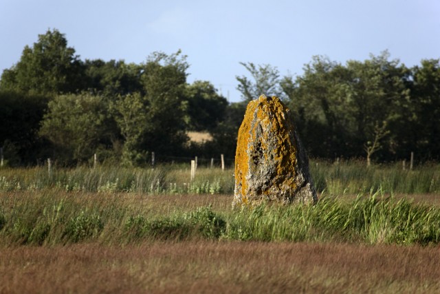 Die Megalithen
