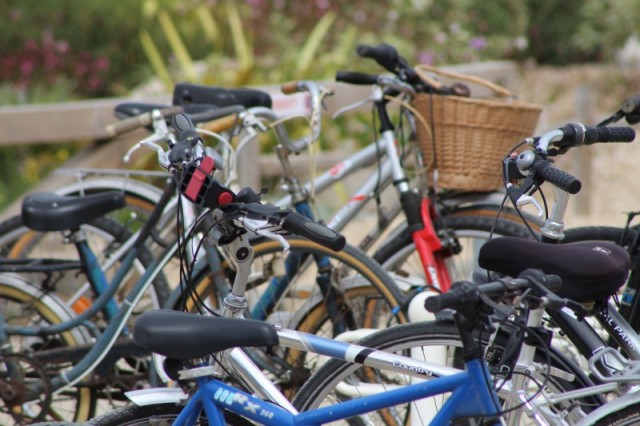 Cycle rental