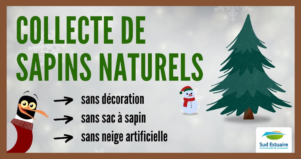 Legendia Parc offre également une seconde vie à vos sapins de Noël