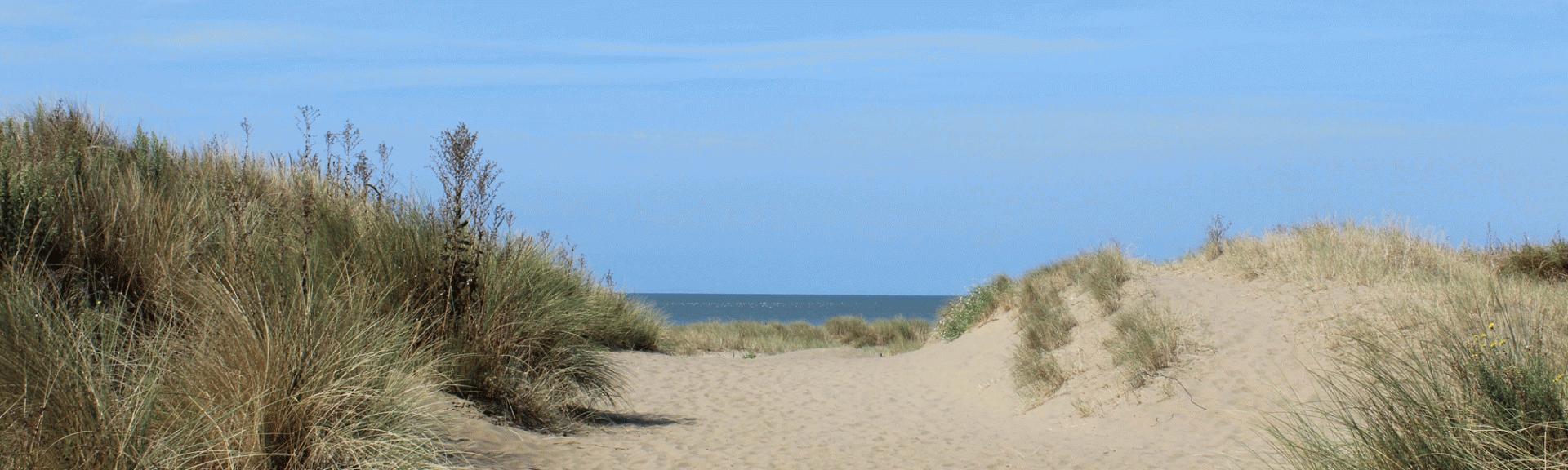 dune-terre-mer-st-brevin-tourisme-1708