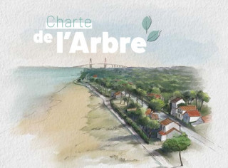 charte-de-l-arbre-3713