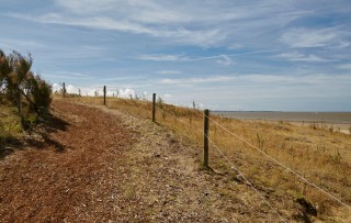 chemin-cotier-400