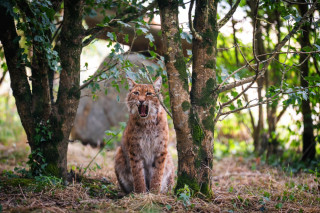 dsc01329-enhanced-nr-web-3740 - © @YPOV AGENCY dsc01329-enhanced-nr-web-3740