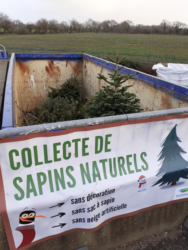 benne-coll-sapins-1-3735 benne-coll-sapins-1-3735