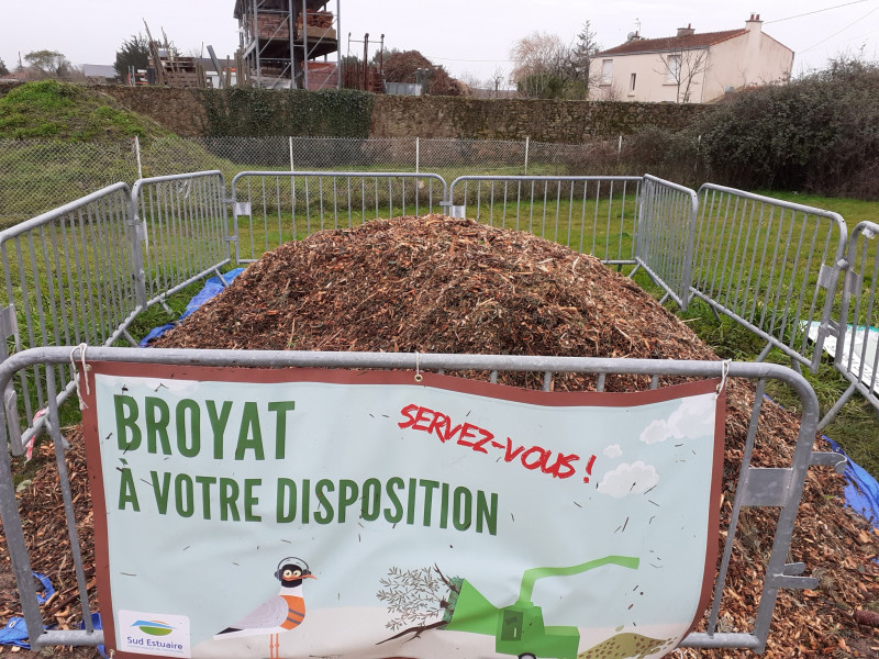 broyat-sapin-2-3736 broyat-sapin-2-3736