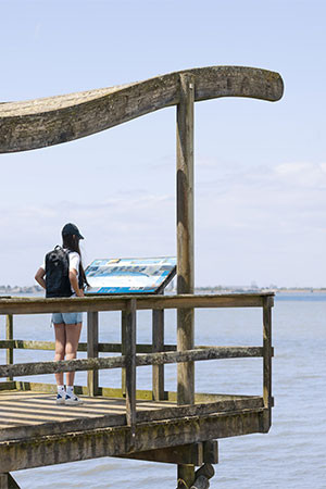 corsept-3724 corsept-3724