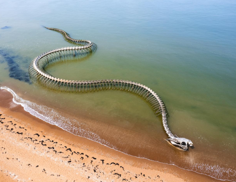 serpent-d-ocean-ypov-agency-office-de-tourisme-saint-brevin-emotions-brutes-3451