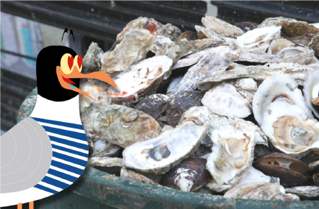 visuel-mouette-coquillages-3722 visuel-mouette-coquillages-3722