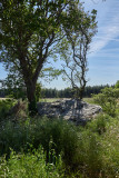 2023-05-dolmen-de-la-gauterie-175357-8300