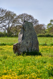 2023-05-menhir-de-la-riveraie-161952-8290