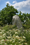 2023-05-menhir-des-landes-123935-8304