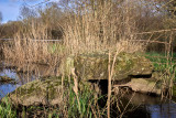 2024-03-pont-gaulois-174023-9301