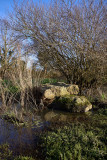 2024-03-pont-gaulois-174115-9304