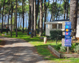 all-e-camping-3-11319