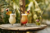 camping-mindin-cocktail-6369
