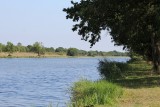 canal-loire-a-velo-nature-frossay-5427