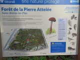 carte-sentiers-foret-pierre-attelee-stbrevin-5457