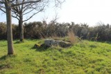 dolmen-de-la-briordais-2-2520