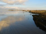 estuaire-de-la-loire-saint-brevin-sud-estuaire-3