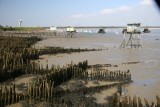 estuaire-de-la-loire-saint-brevin-sud-estuaire-5