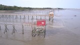 estuaire-de-la-loire-saint-brevin-sud-estuaire-7