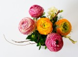 flowers-342532-1920-605