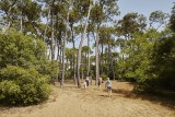 Forêt-Pierre-Attelée-Saint-Brevin