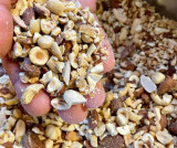 Fruits secs Folie Glacée Saint-Brevin fruits-secs-folie-glac-e-saint-brevin-10935