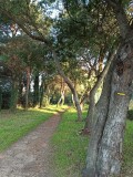 gr8-circuit-estuaire-ot-st-brevin-5347