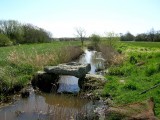 le-boivre-ot-st-brevin-randonnee-ccse-sud-estuaire-loire-atlantique-1483