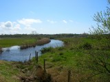 le-boivre-ot-st-brevin-randonnee-ccse-sud-estuaire-loire-atlantique-1484