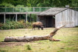 legendia-parc-ypov-agency-10196