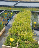 magasin-fermier-la-goguillais-2-10831