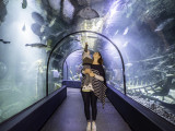 ocearium-le-croisic-5081-7725