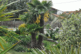 palmier-fleur-de-sel-st-brevin-tourisme2-4039