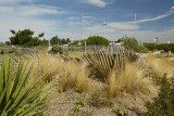 Parc-du-littoral-Saint-Brevin-3