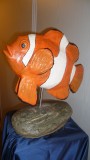 poisson-clown-a-bandes-blanches-6550
