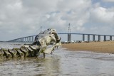 serpent-ocean-pont-saint-brevin