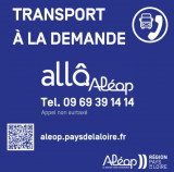 transport-la-demande-10496
