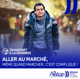 transport-la-demande1-10497