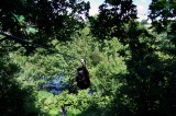 tunel-de-verdure-parcours-blue-pornic-aventure-5440