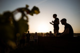 vendanges-11-sur-316-10642