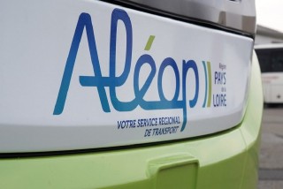 aleop-ligne-reguliere-bus-3918