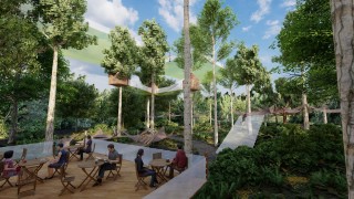 les-mysteres-de-la-foret-nouveaute-2021-terra-botanica-5-5520